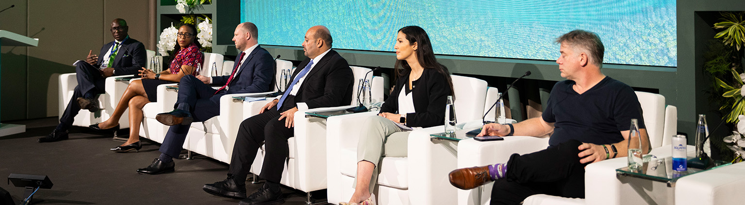 Focus on transmission at COP28