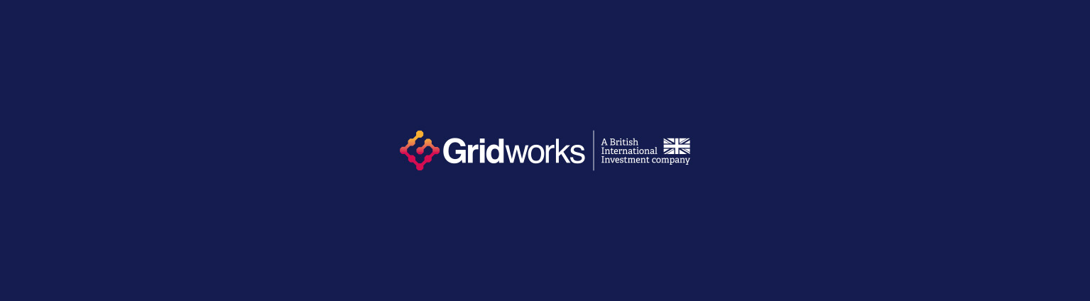 Gridworks appoints Chris Flavin as new CEO