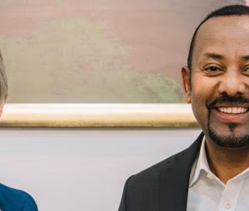 Gridworks to develop two priority transmission projects in Ethiopia